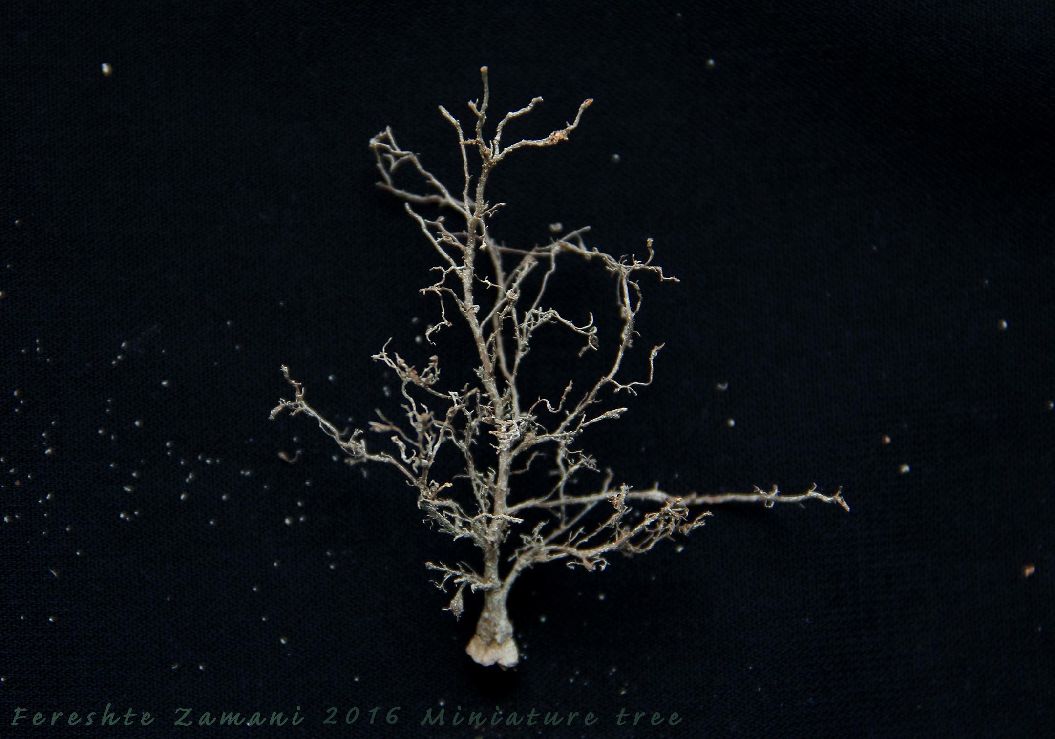 miniatur tree