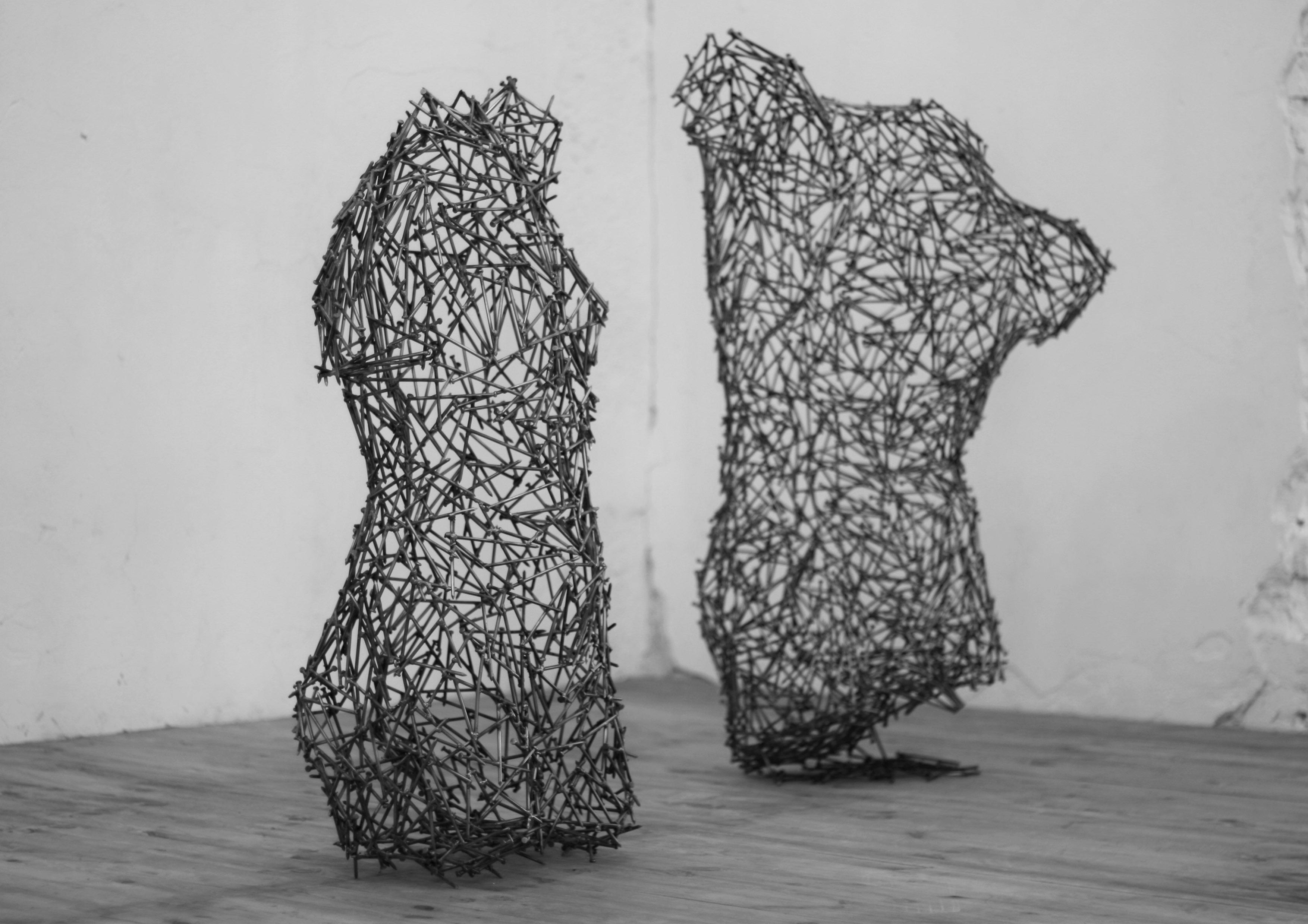 torso
