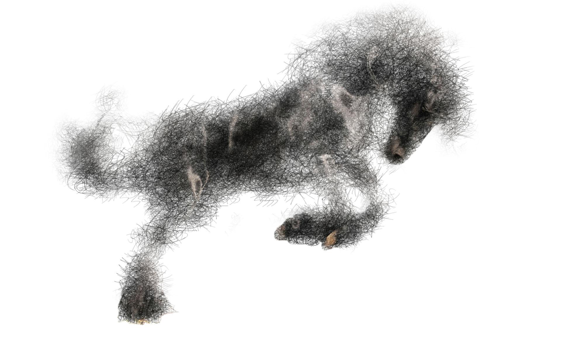 Illustration