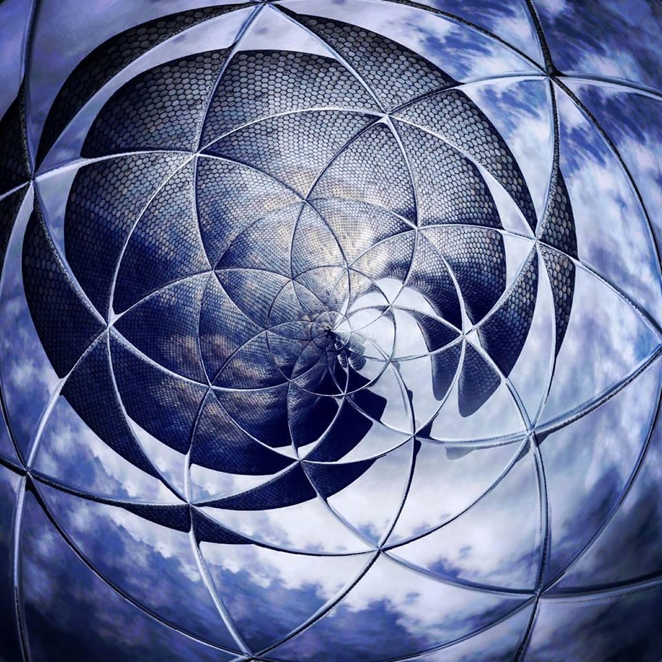 Crazy perception