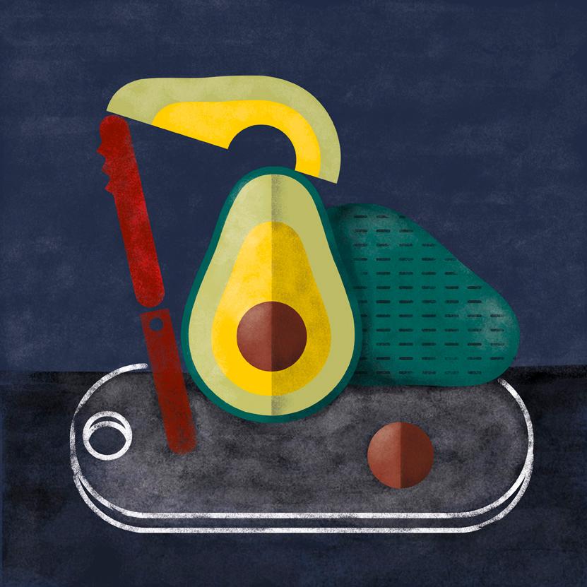 Fruits illustration