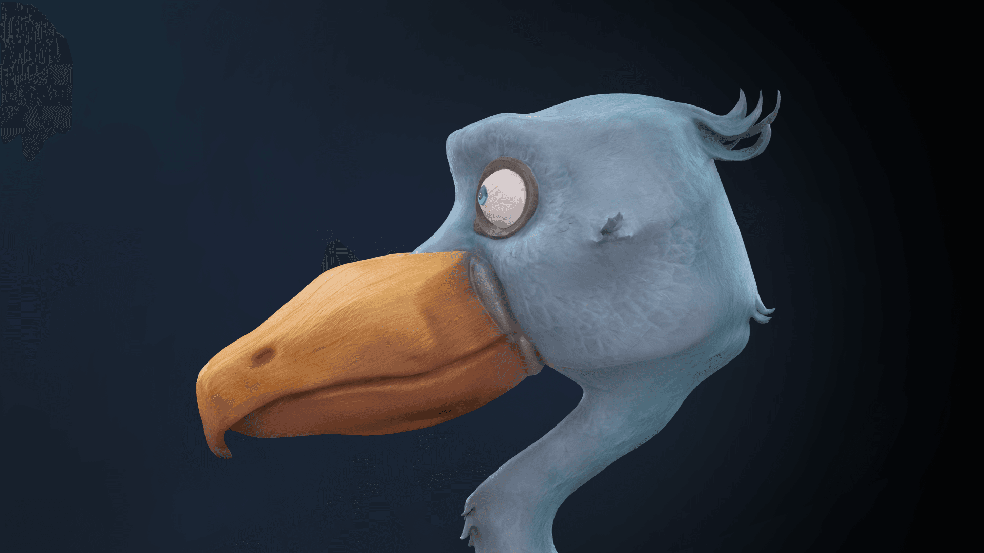 Bird