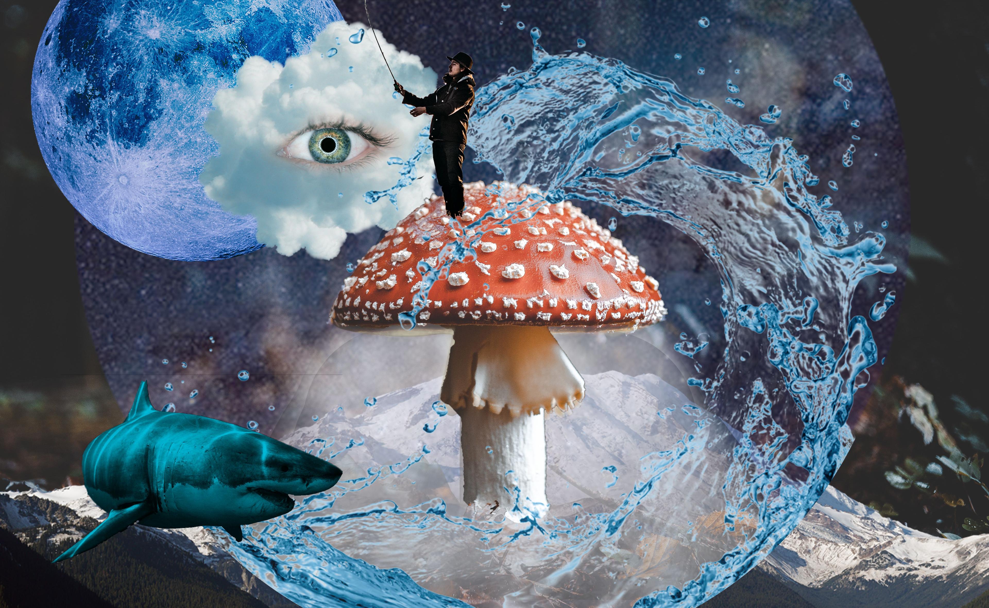 Digital Collage