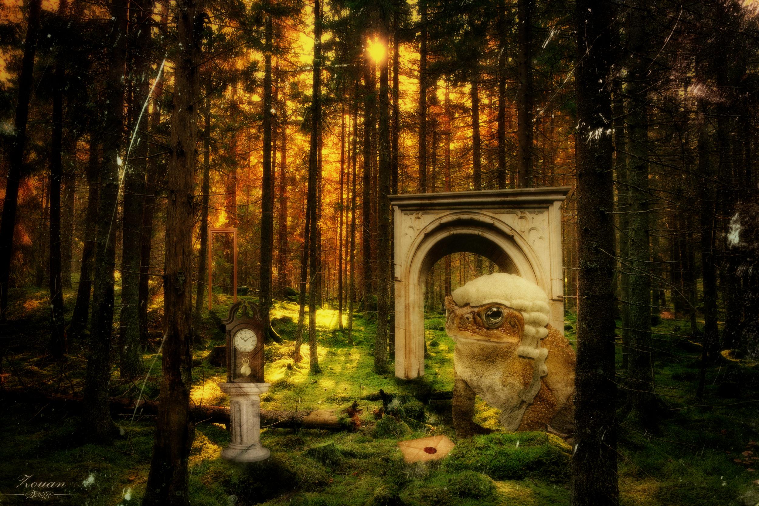 aNOTHER wONDERLAND
