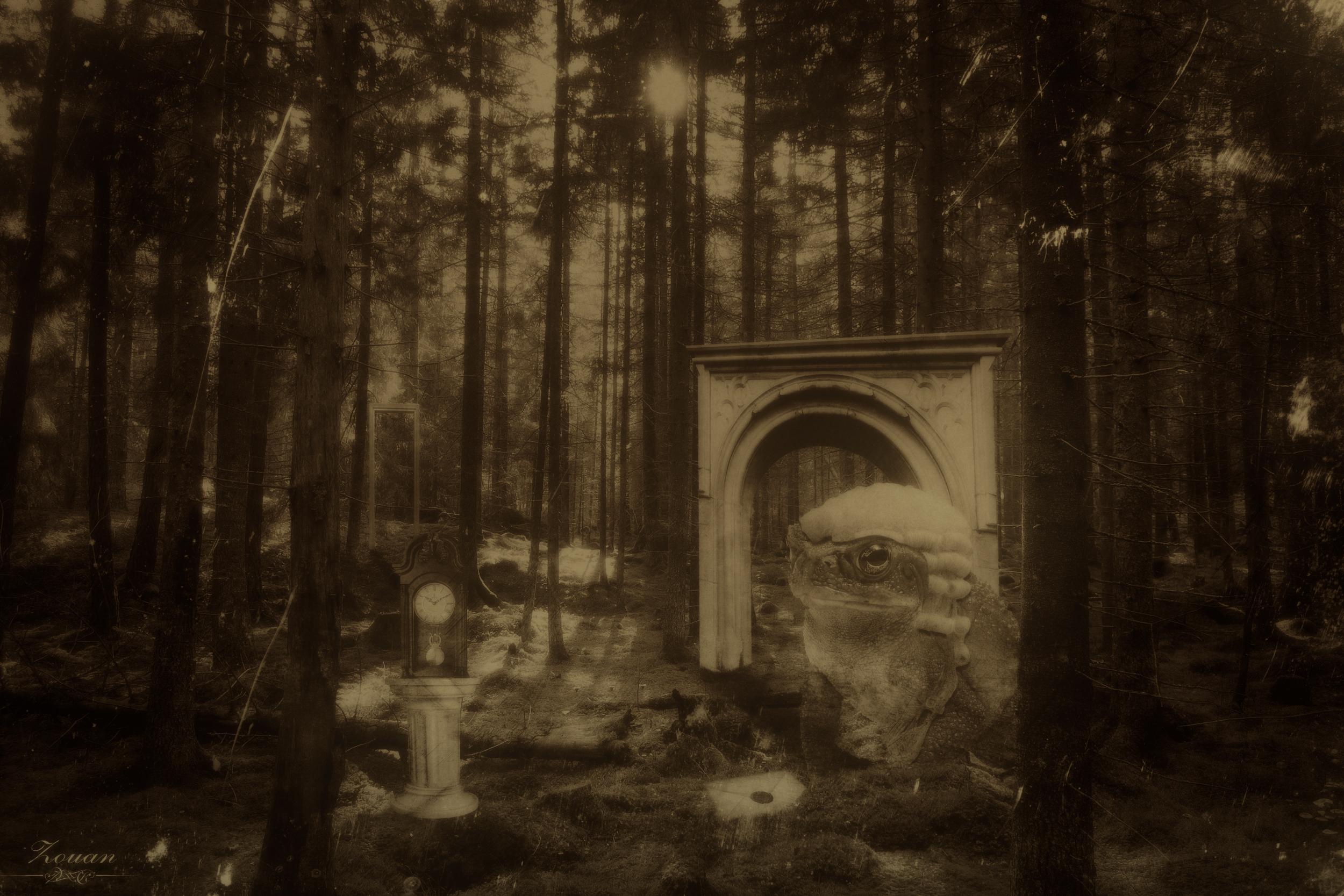 Another Wonderland