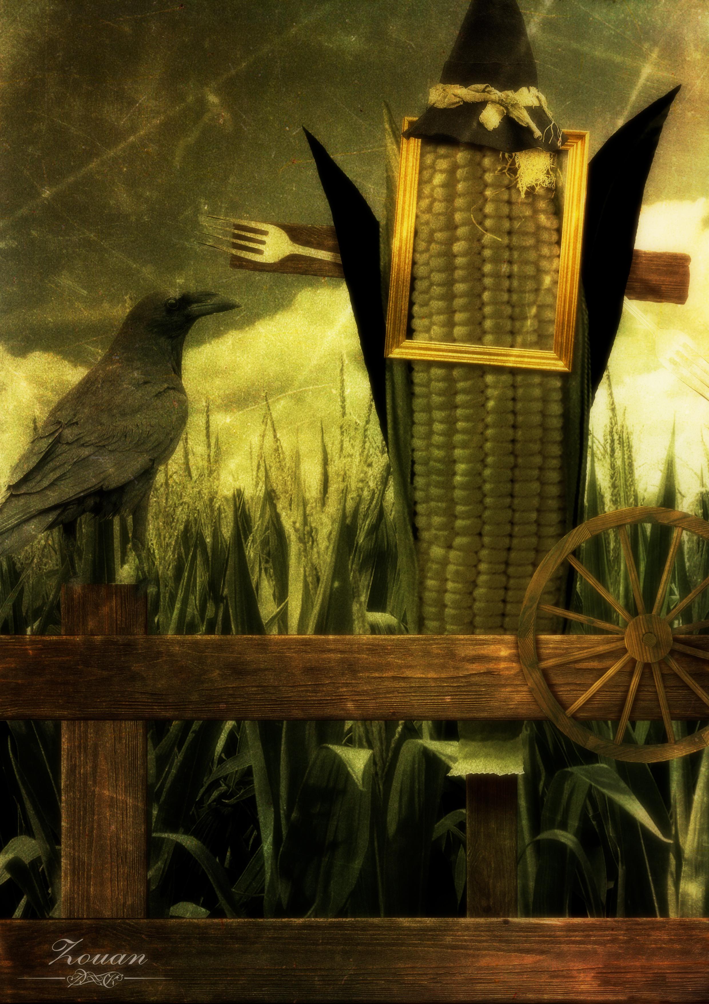Weirld land of Oz Photoart by Zouan Kourtis