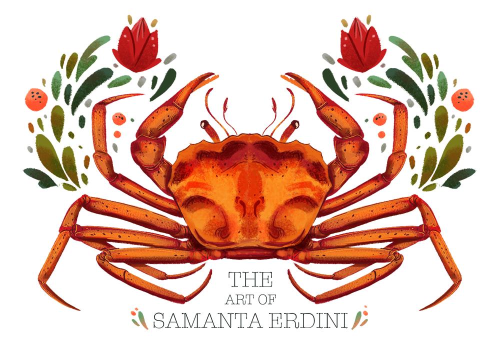Samanta Erdini cover