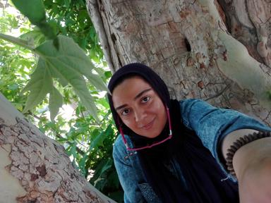 Somayyeh Arabinejad