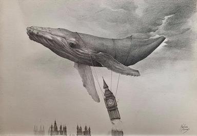 J.J Martinez Canovas
