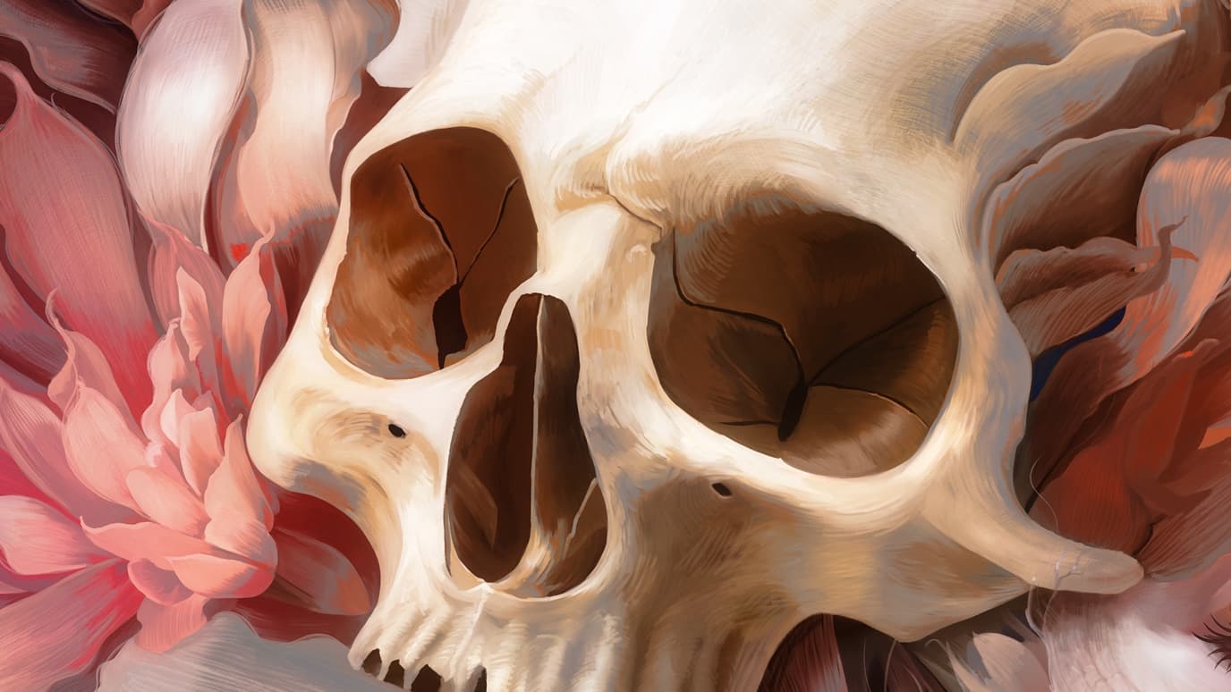 Ein menschlicher Schädel gebettet in weiche rosa Blütenblätter, mit Rissen, die durch den Knochen laufen, in einem von Elolas anatomischen Stillleben